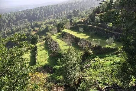 Rural Faldas Del Teide イコー・デ・ロス・ビノス