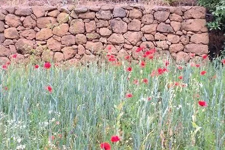 فيلة Rural Faldas Del Teide *